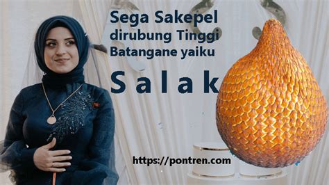 sega sakepel dirubung tinggi tegese <i> sage sakepel dirubung tinggi batange 4</i>