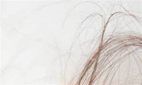 sehelai rambut Artinya: “Jika hal kecil rambut atau badan wanita yang terungkap sedikit, maka tidak perlu mengulangi shalat tersebut menurut sebagian besar ulama