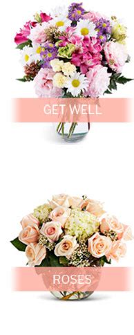 send flowers cheaply Floral Delivery to Schools & Colleges Nearby