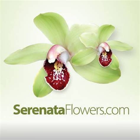 serenata flowers promo code  Save BIG w/ (167) Serenata Flowers verified promo codes & storewide coupon codes