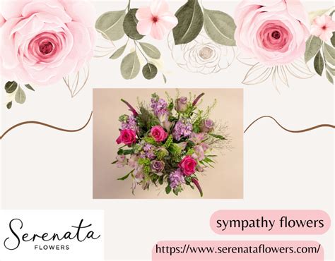 serenata flowers scotland See more reviews for this business