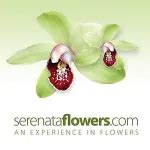 serenta flowers  20K Followers, 411 Following, 1,151 Posts - See Instagram photos and videos from Serenata Flowers