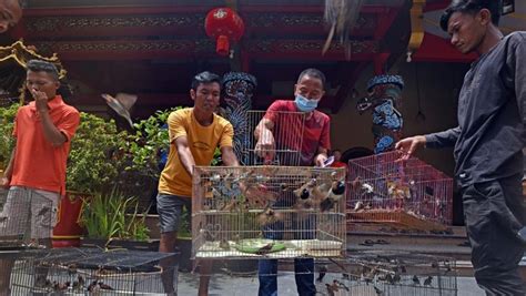 sertifikat burung  Rp18