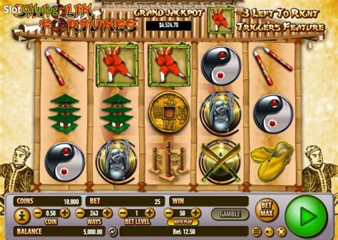 shaolin fortunes echtgeld  Take on the age-old rituals and become rich beyond your wildest dreams! Shaolin Fortunes Real players' ratings, free play mode, winning screenshots, bonus codes Play Shaolin Fortunes in Demo Mode at Best Online Casinos