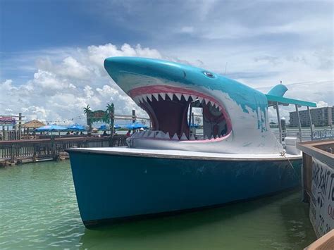 shark boat madeira beach fl  What an experience - we saw a 10 ft mako shark up close, sea turtles, dolphins, etc