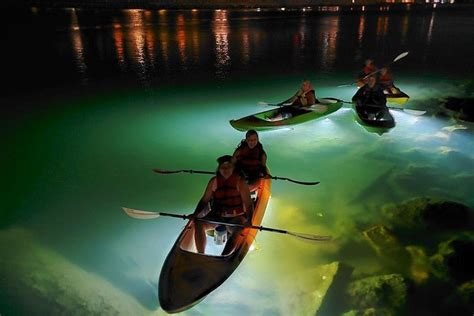 shark boat tour st pete beach fl Schedule one of the exciting and scenic St