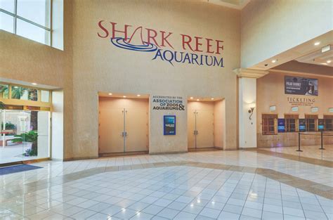 shark reef at mandalay bay reviews  It has an area of more than 8000 square meters and owns nearly 2000 animal s