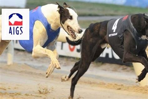 sheffield greyhound trials today  Results for today's sale trials at Sheffield