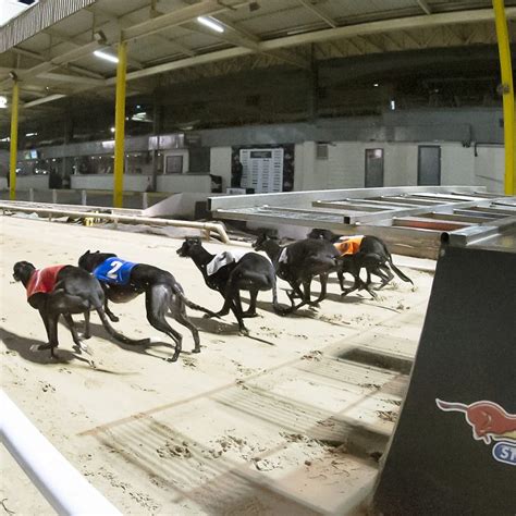 sheffield greyhound trials today  Dear Greyhound Enthusiast,You Sleuth Augmented Reality Detective Experience UK