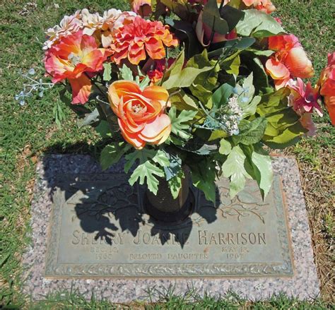 sherry joanne harrison  She was born to the late Milton Kelsey Dill and Madeline Louise Dill (Fanning) o2018-02-10 Harrison was born on March 22, 1965, in Davidson, North Carolina, the third child of Richard Benjamin Harrison, Jr