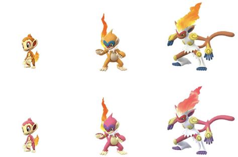 shiny chimchar line Chimchar eventually evolves into Infernape at level 36 and is one of the best Fire types in Pokémon Brilliant Diamond and Shining Pearl