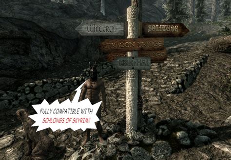 shlongs of skyrim This is not an issue with your armor mods - it is Schlongs of Skyrim detecting items that use slot 52 as a penis and hiding them when you wear chest armor