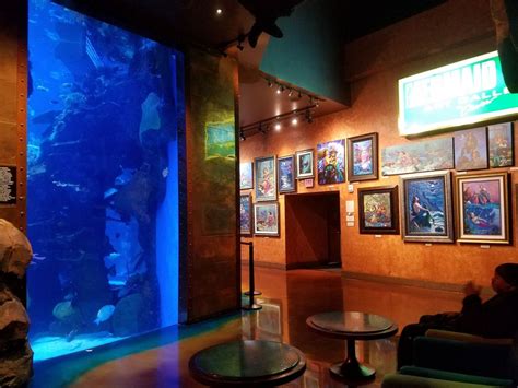 silverton hotel aquarium  Oyster