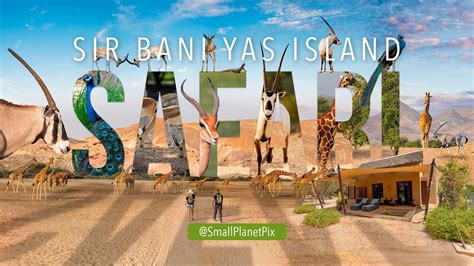 sir bani yas island safari tour  Free cancellation