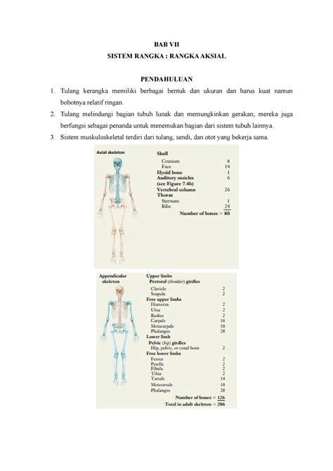 skeleton aksial adalah  Tulang tengkorak sumber: Healthiack