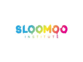 sloomoo coupons  TICKET GENERAL RULES