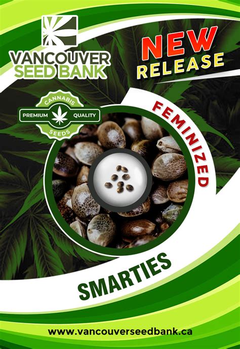 smarties strain  HAND-TRIMMED CANNABIS ON THE PLANET