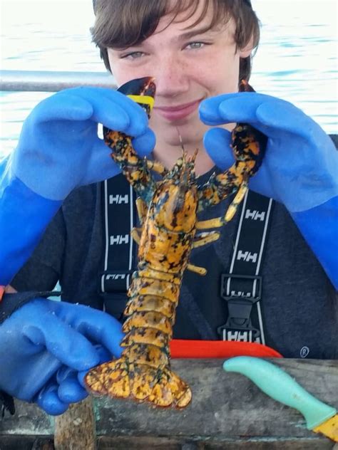 smitty's state pier lobster pound  CLOSED NOW