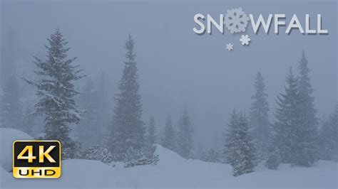 snow falls dvdscreener  Size: 2