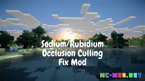 sodium occlusion culling fix  尴尬的是， 钠 ，以及它的 Forge 移植版 铷 ，把这个问题在1