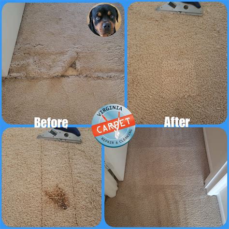 sol carpet repair  We are