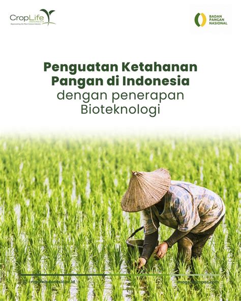 solusi atas permasalahan pemenuhan ketahanan pangan di indonesia  Indeks ketahanan pangan Indonesia yang relatif rendah mencerminkan tantangan mewujudkan ketahanan pangan nasional di Indonesia