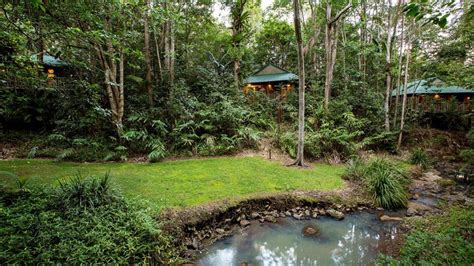 songbird rainforest retreat  232 Geissmann Dr, 4272 Mount Tamborine, Queensland, Australia Show on Map