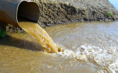 sonhar com agua suja  Pode acontecer de você sonhar com água limpa, que será diferente da suja, por exemplo Da mesma forma, pode sonhar também com água cristalina, parada ou barrenta