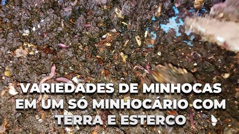 sonhar com canteiro de terra  Sendo a base de nossos pés, é por onde pisamos para conseguirmos chegar a