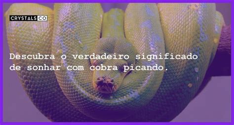 sonhar com cobra picando significado bíblico  Sonhos são canal de comunicação do seu inconsciente com seu