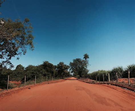 sonhar com poeira vermelha  Chá de aroeira