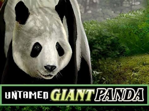 spil untamed giant panda 1) and the number