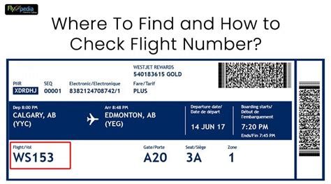 splice flight numbers 