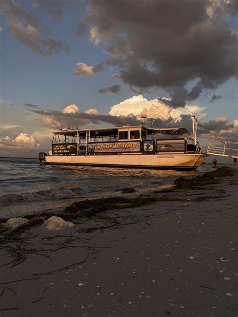 spongeorama cruise lines photos  Captain Hire began her 30-year NASA career as a mechanical systems engineer, helping to launch more than 40 space missions