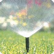 sprinkler repair carrollton tx Find out everything you need to know about Andy's Sprinkler, Drainage, & Lighting