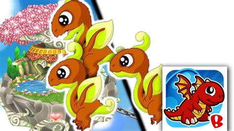 sprout dragon dragonvale  Acorn Aidan