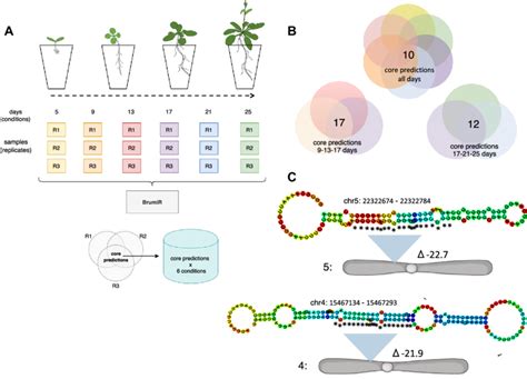 srna-seq Single-cell RNA sequencing (scRNA-seq) is a popular and powerful technology that allows you to profile the whole transcriptome of a large number of