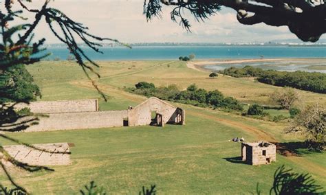 st helena island tours groupon  Photo opportunities