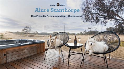 stanthorpe dog friendly accommodation Find and book deals on the best pet-friendly hotels in Stanthorpe, Australia! Explore guest reviews and book the perfect pet-friendly hotel for your trip