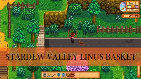 stardew valley linus basket  A Guide and location for Linus Basket on