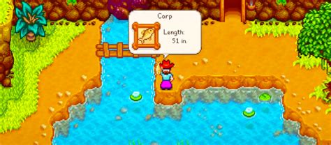 stardew vally carp  The Stardew Valley Fair is a festival that takes place on Tuesday, the 16th of Fall every year