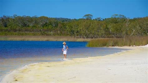 stayz stradbroke island  We have 233 rentals available to book on Stayz