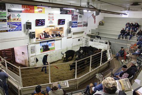stockmens livestock dickinson com 225-8156 Stockmen's Livestock Exchange UPCOMING SALE SCHEDULE THURSDAY , AUG 