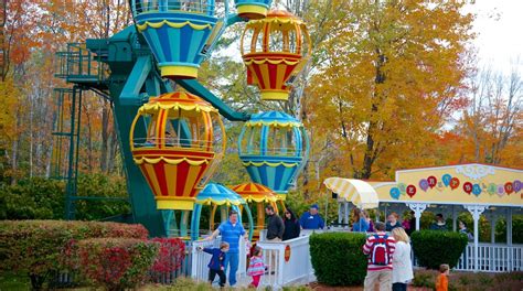 storyland promo code  And it is active in November