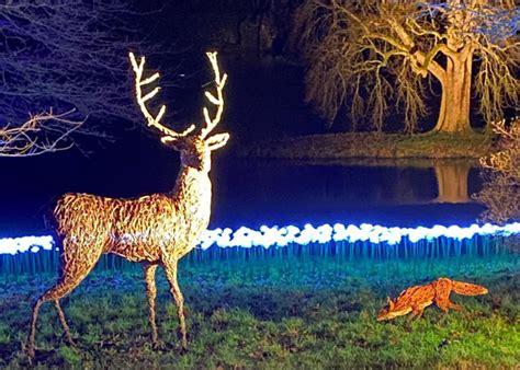 stourhead christmas lights voucher code Opening Times