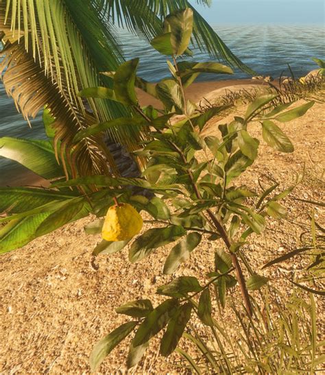 stranded deep kura Gehe zur Themenübersicht