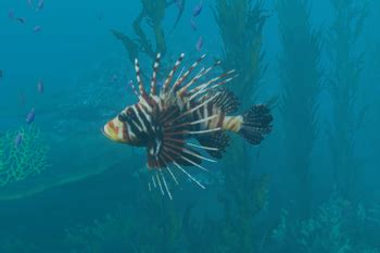 stranded deep lionfish  In my endless earch for a cure, I ended up in the middle of the ocean, and i I saved there