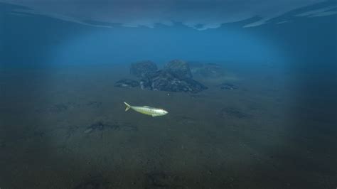 stranded deep sardine  It is found atop a small island and takes up the majority of it