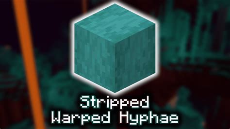 stripped warped hyphae <b>decalp si kcolb eht nehw tes era setats eseht fo seulav ehT </b>