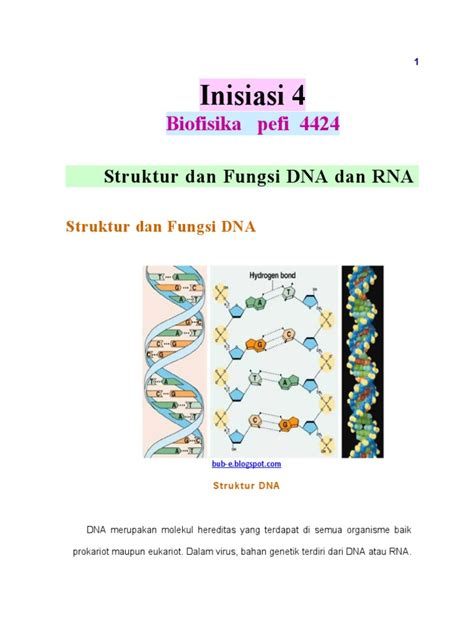 struktur dan fungsi dna 3 Struktur dan Fungsi Protein Protein adalah senyawa organik kompleks yang tersusun atas unsur Karbon (C),Hidrogen (H),Oksigen (O),Nitrogen (N) dan kadang-kadang mengandung zat Belerang (S),dan Fosfor (P)